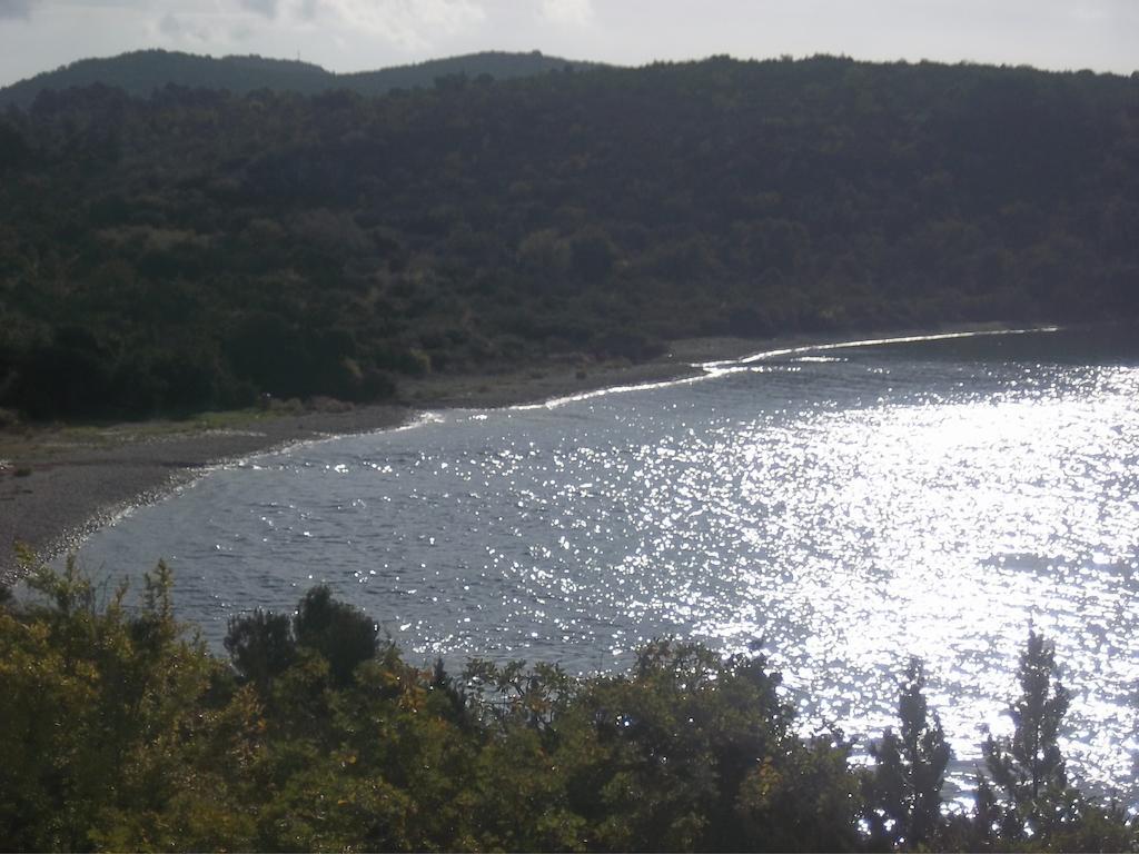 Guesthouse Budima Banići Zewnętrze zdjęcie