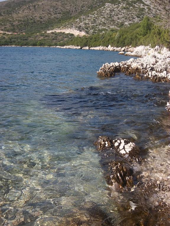Guesthouse Budima Banići Zewnętrze zdjęcie