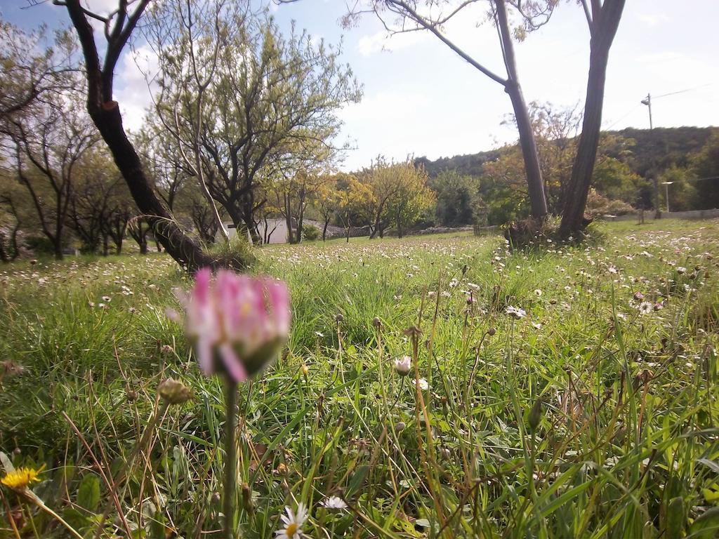 Guesthouse Budima Banići Zewnętrze zdjęcie