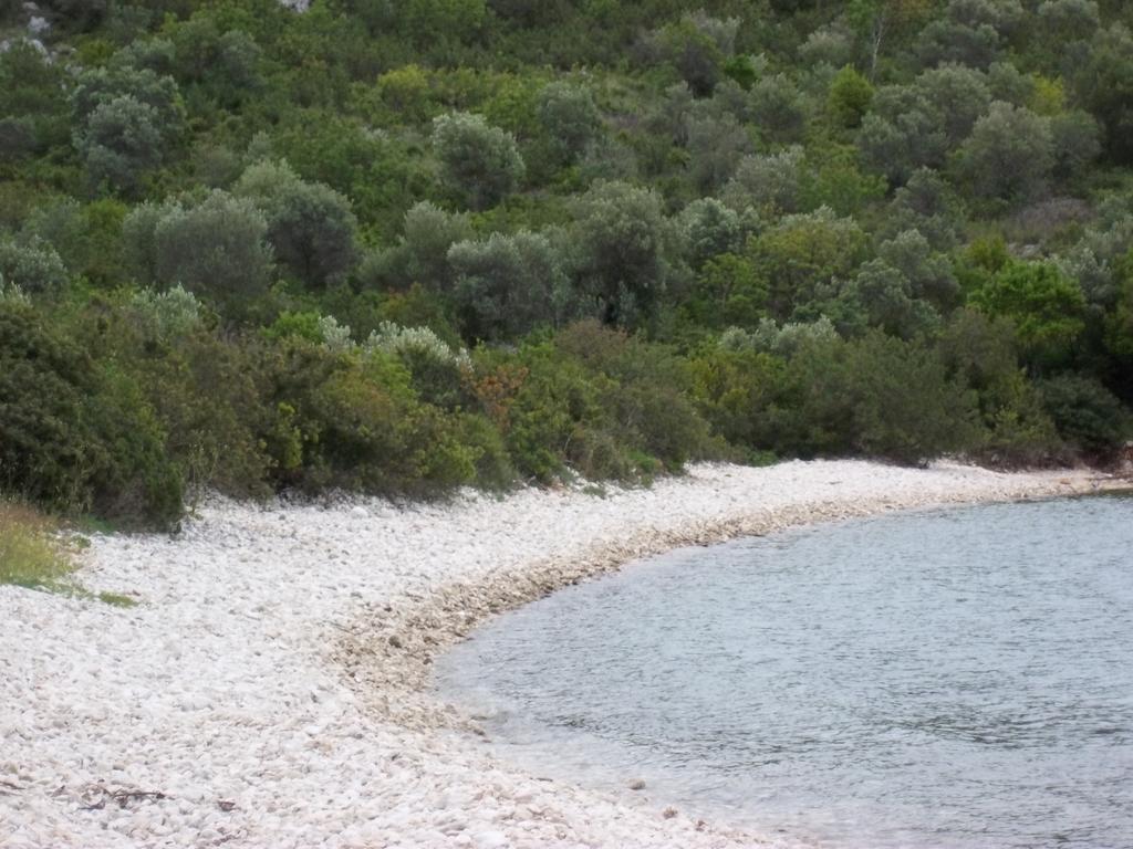Guesthouse Budima Banići Zewnętrze zdjęcie