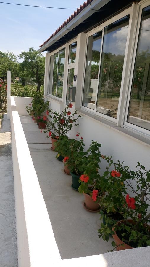 Guesthouse Budima Banići Zewnętrze zdjęcie