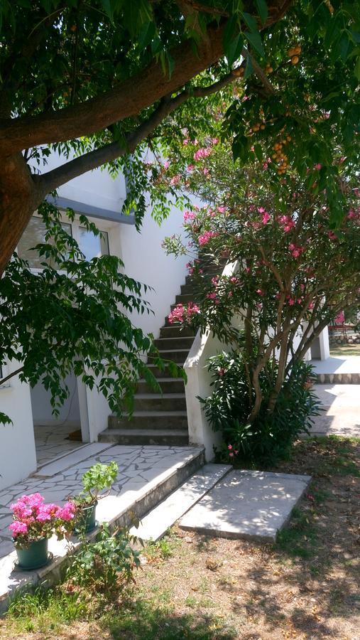 Guesthouse Budima Banići Zewnętrze zdjęcie